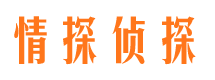 高密市婚外情取证